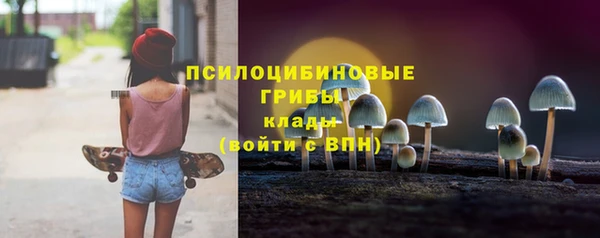 прущий лед Верея