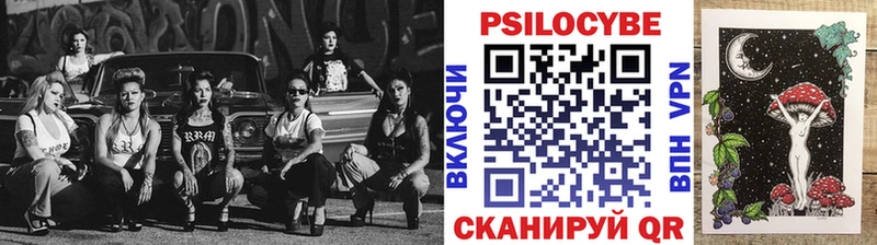Псилоцибиновые грибы Psilocybe  наркота  Можайск 
